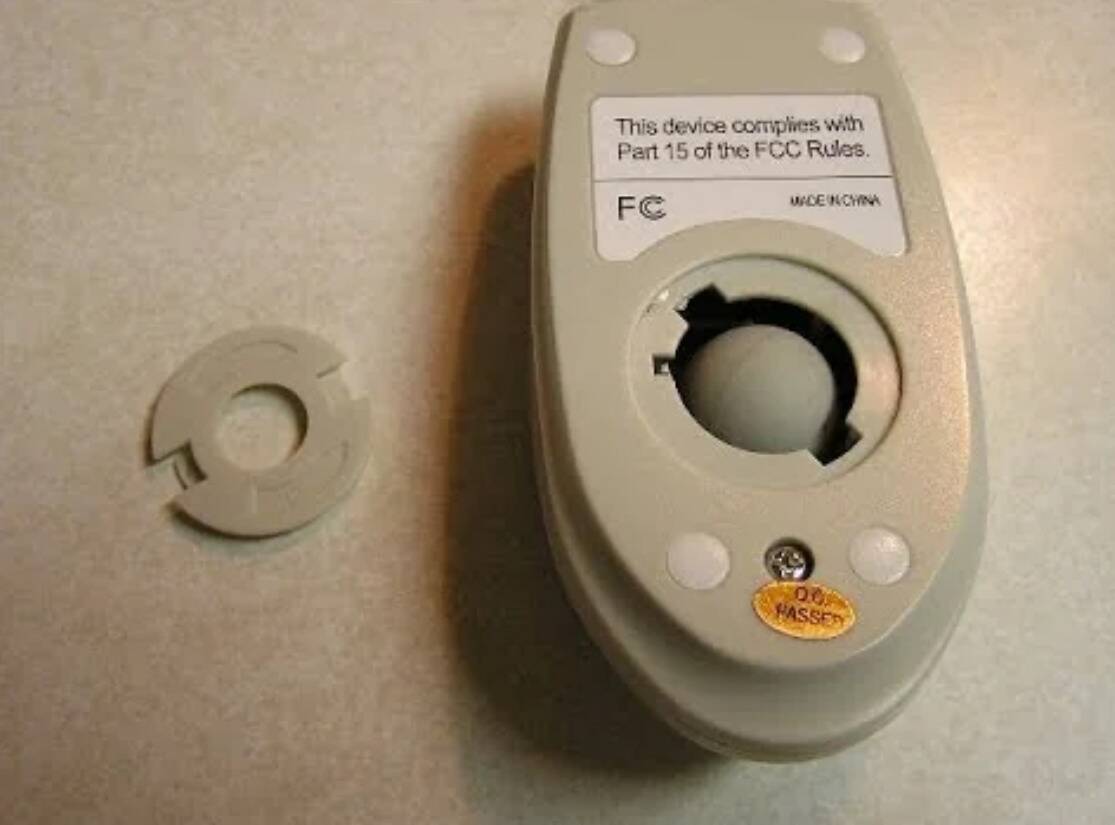 mouse