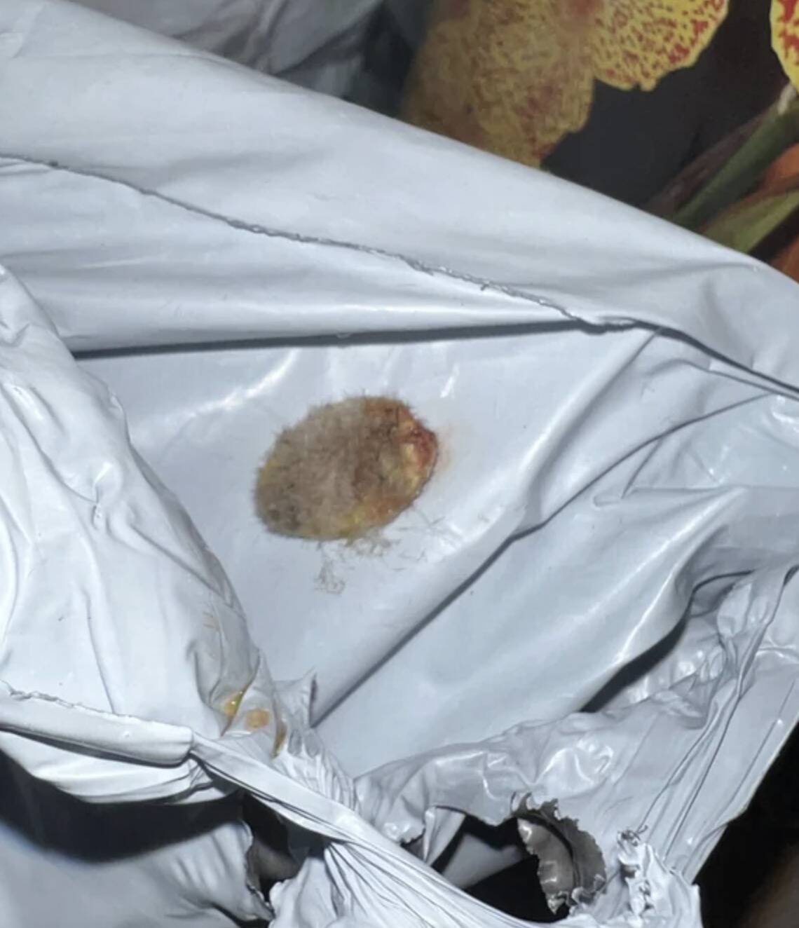 Screenshot 2024-04-30 at 3.57.52 PM