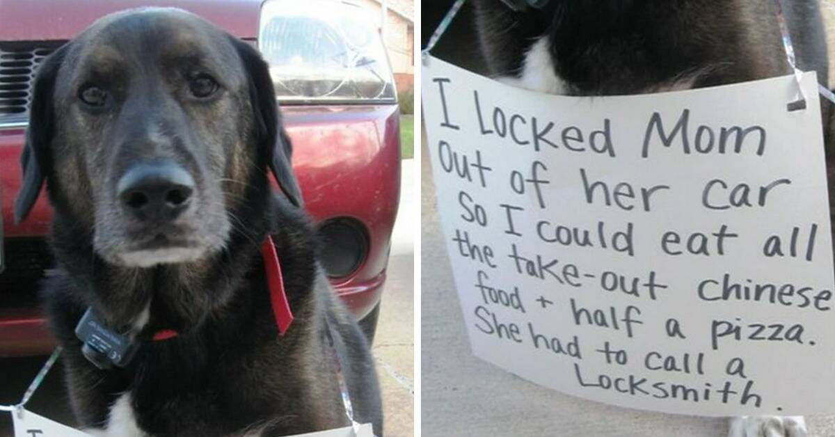 They were the same age (60)