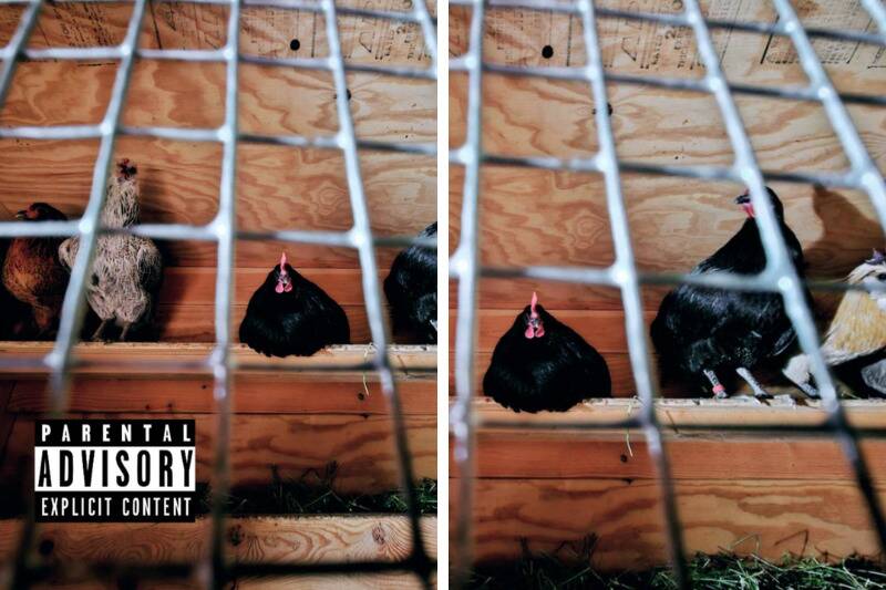 Untitled design - 2024-05-02T100308.236