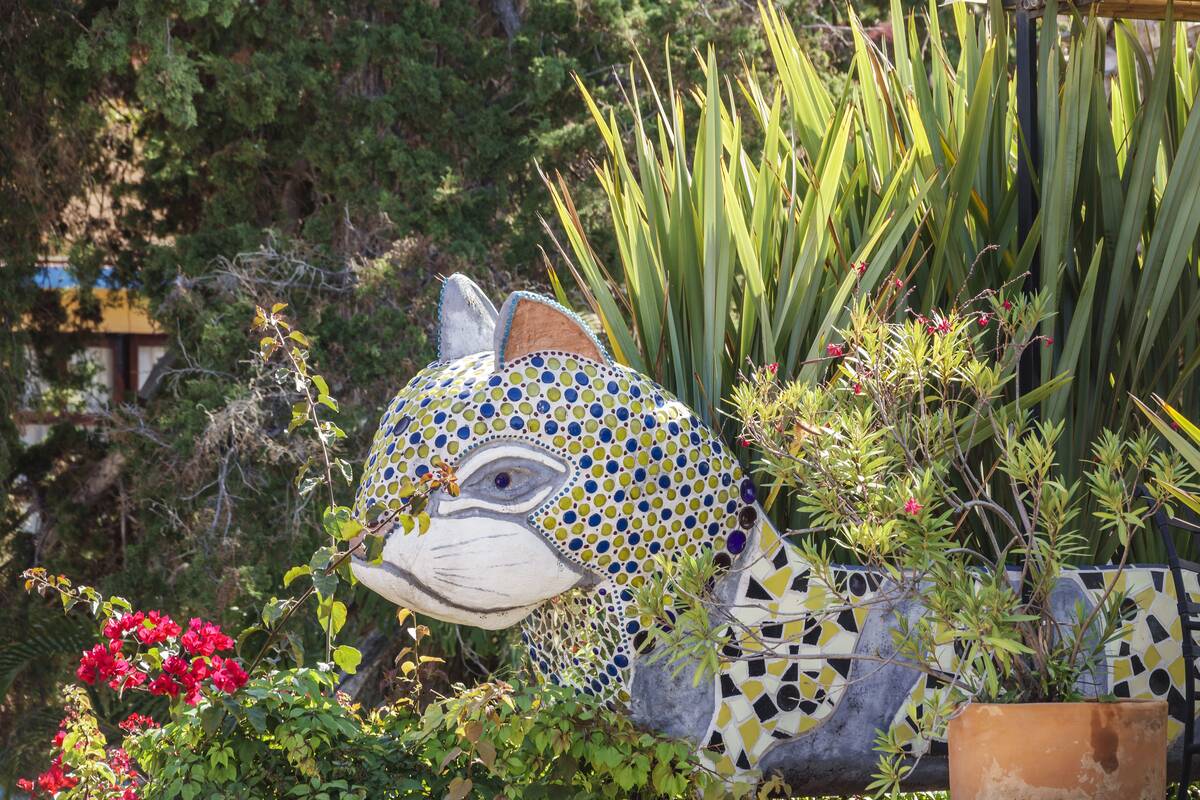 San Miguel de Allende, Guanajuato, Mexico, historic district, garden with large cat shaped ceramic planter