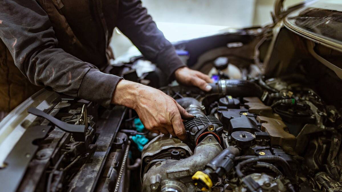 MSN Feature Image - 2024-07-25T142640.886