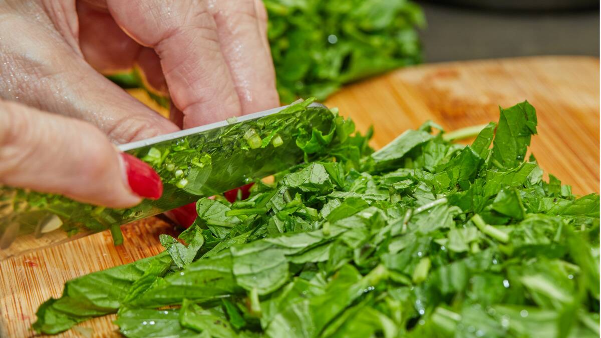 MSN Feature Image - 2024-08-20T110517.388