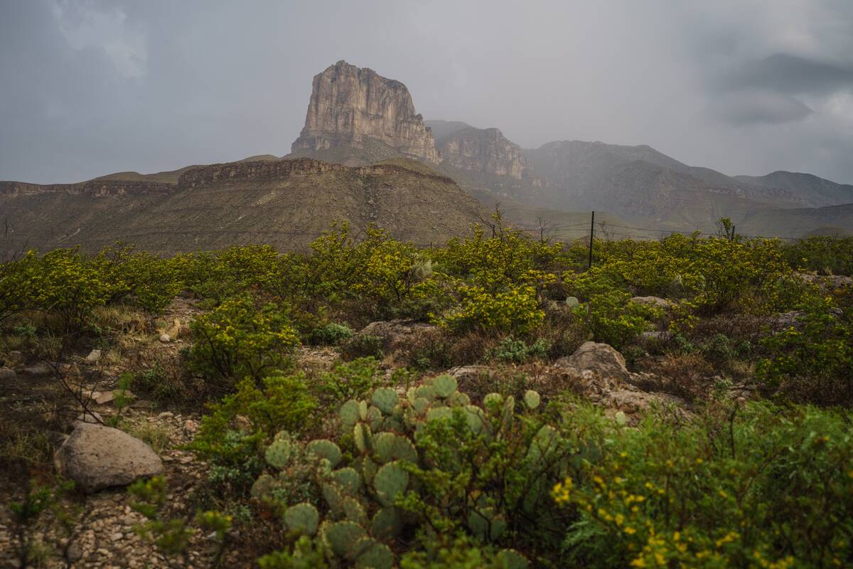 Bezos Blastoff Puts Tiny Texas Town on the Map Sort Of