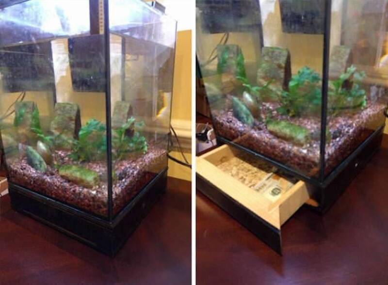 fish-tank-secret-48999