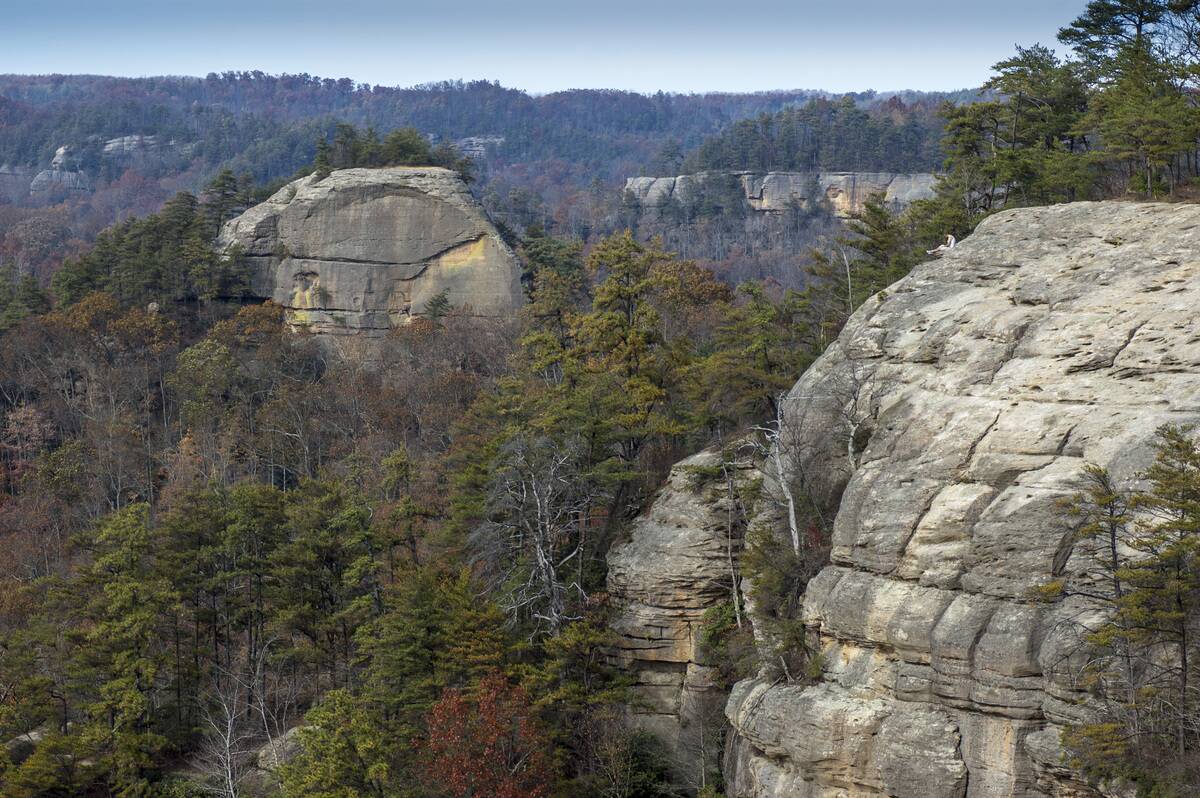 Sandstone cliffs in the Red River Gorge Geological Area in the Daniel Boone National Forest of eastern Kentucky,