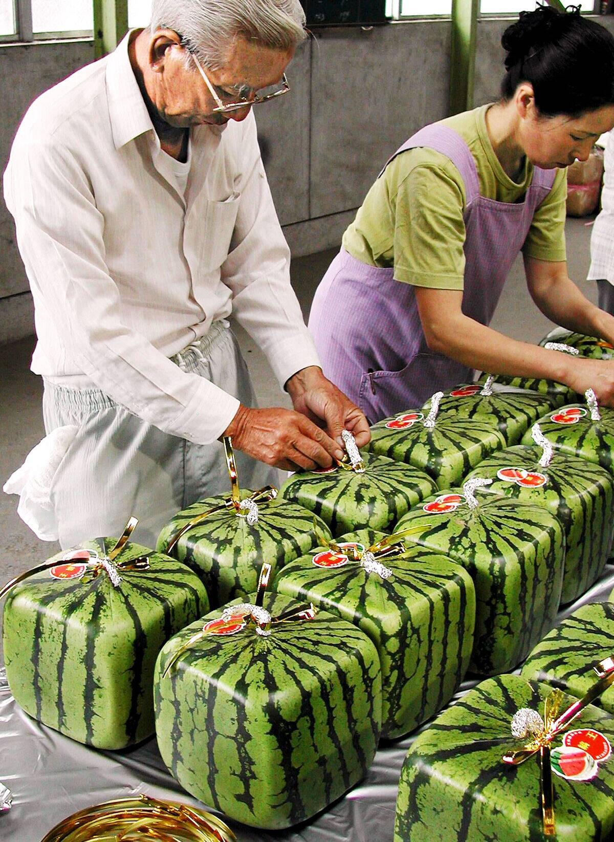 JAPAN-WATERMELON