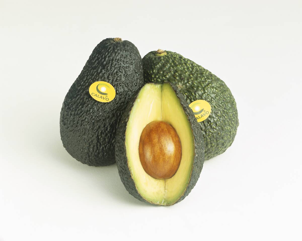 Two avocado with one half cut on white background, close-up