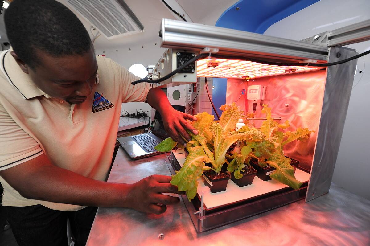 Dr. Robert Howard examines a vegetable g