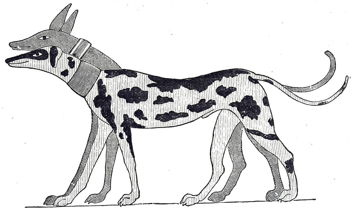 Engraving based on an ancient Egyptian tomb painting depicting hunting dogs