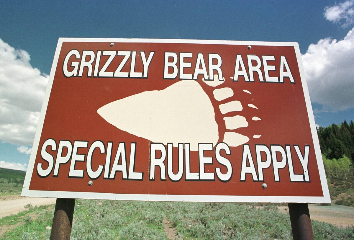 Grizzly Bear Warnings