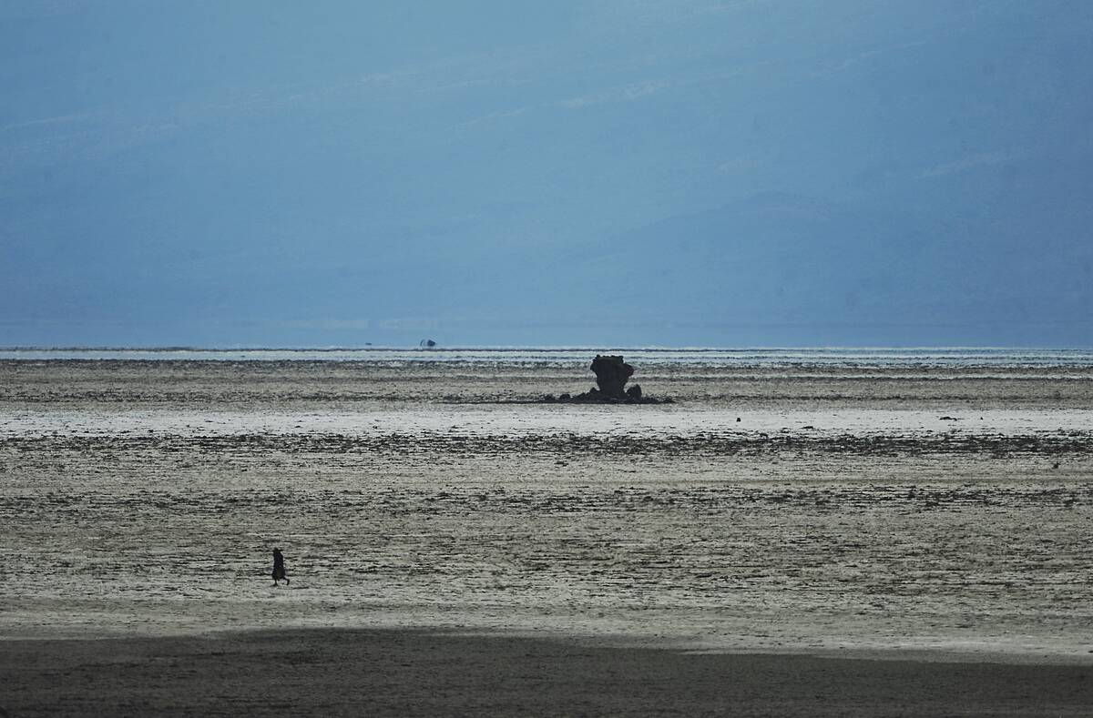 TO GO WITH AFP STORY BY HELEN VESPERINI