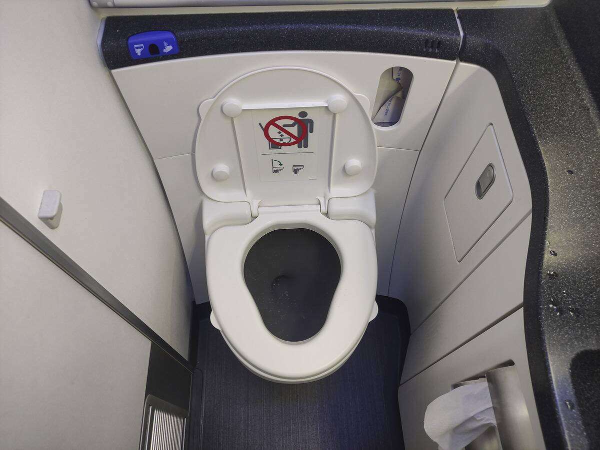 United Airlines Boeing 787 Dreamliner Flight