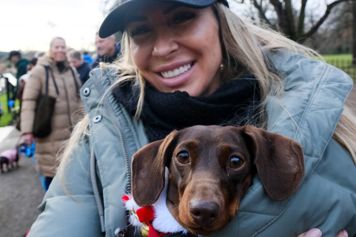 The Christmas Hyde Park Sausage walk, London