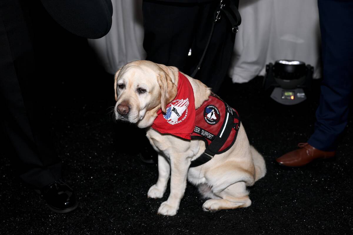 30th Annual Critics Choice Awards - After Party