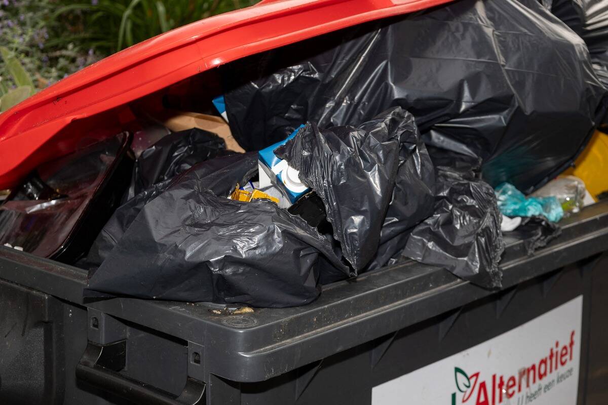 ILLUSTRATIONS CITY ANTWERP