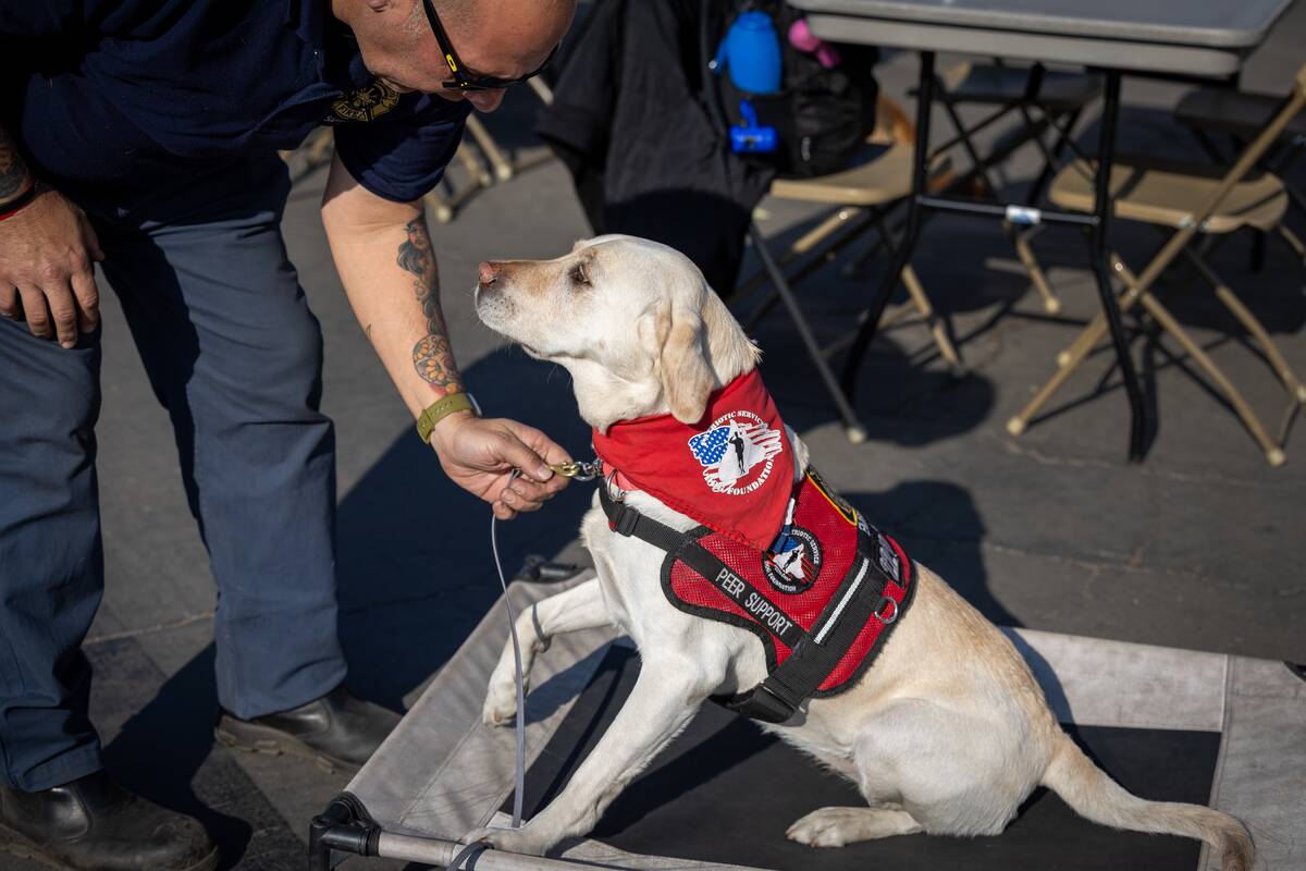 The iconic Rose Bowl has become a staging area for more than 4,000 firefighters and National Guard troops, turning it into a city with a McDonald's, a laundry, a barbershop and a cafeteria