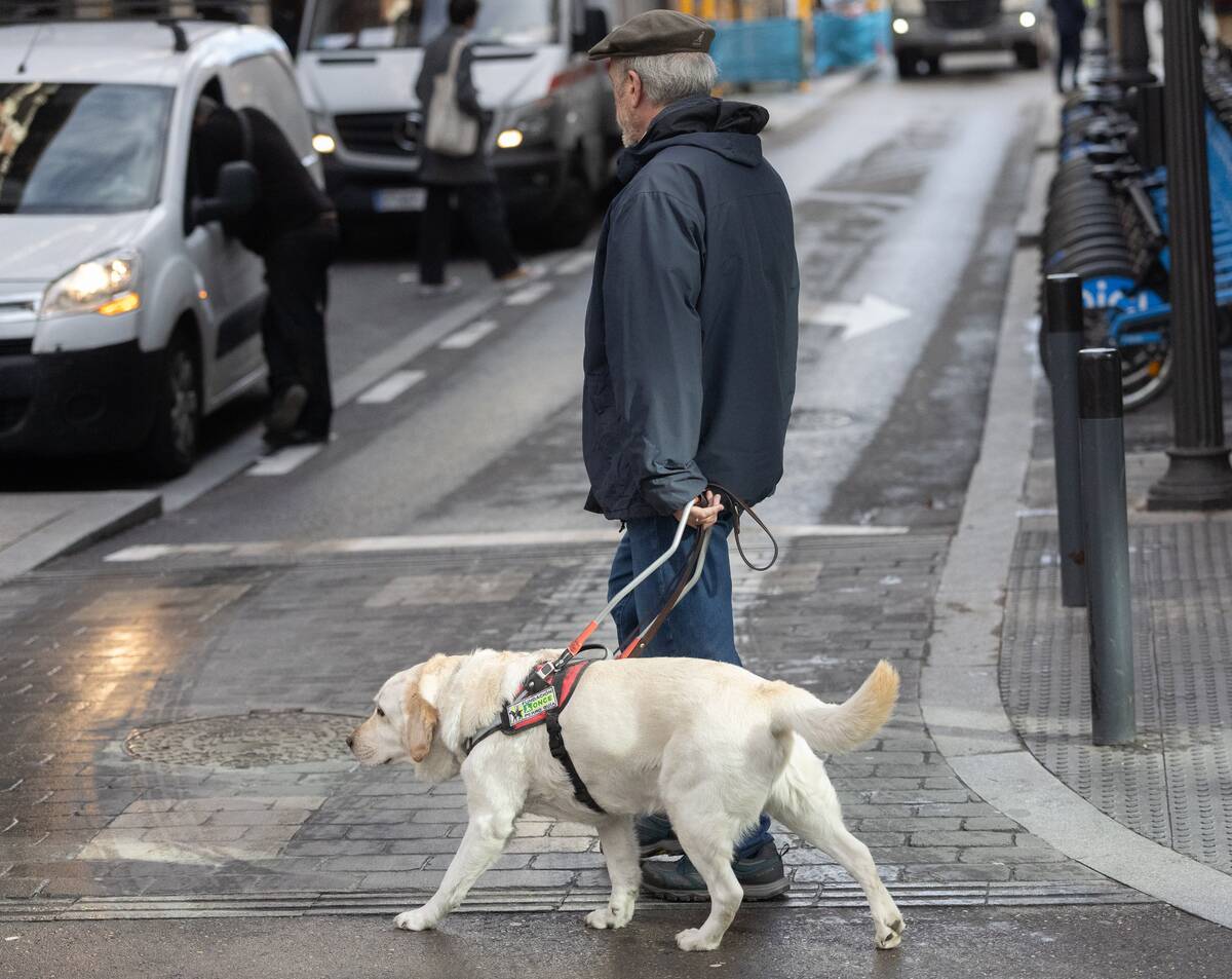 Who Estimates That About 285 Million People Suffer From Some Form Of Visual Impairment.