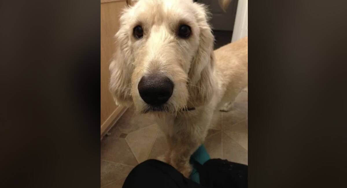 Screenshot 2025-04-14 at 4.02.08 PM