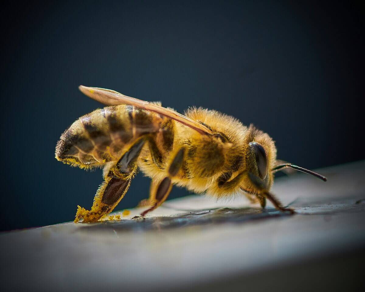 aljaz-kavcic-QJ1wI3Muc6Y-unsplash