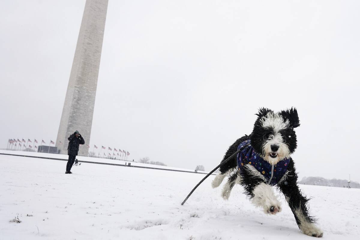 Winter Storm Brings Snow To Washington, D.C.