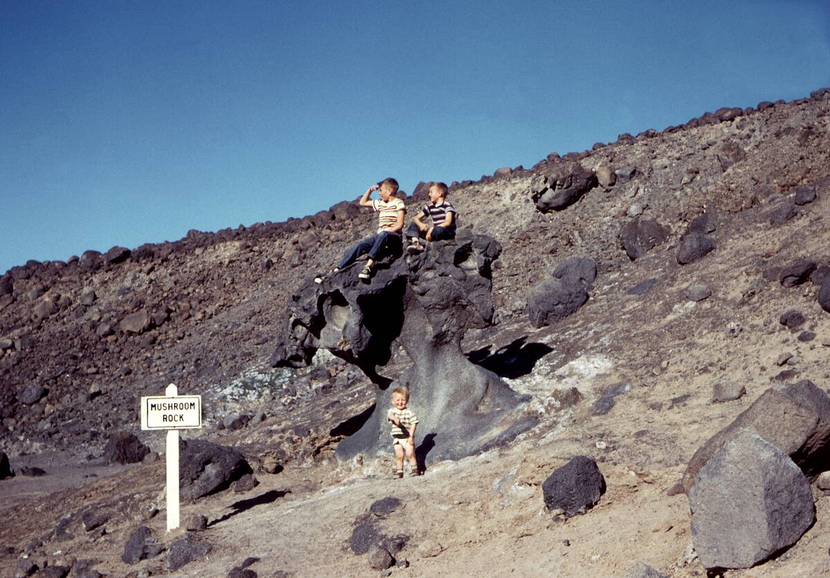 1950s summer vacations