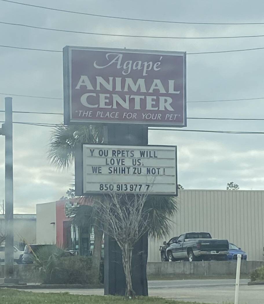 Screenshot 2026-03-04 at 10.16.41 AM