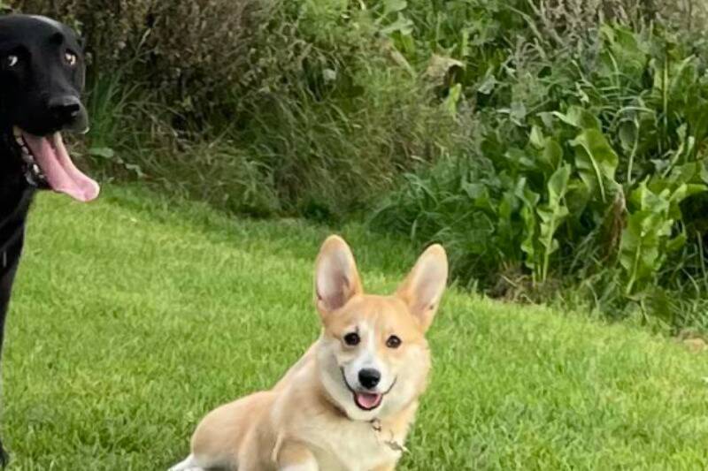 Untitled design (17)