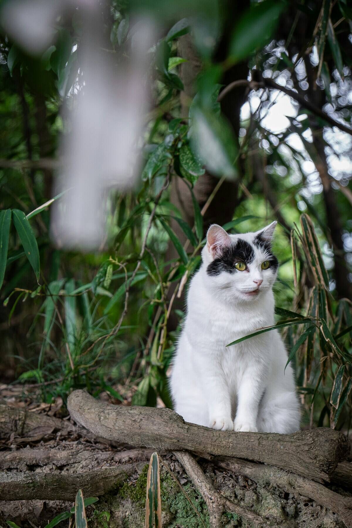 alexandra-tran-cOp-wskoyCY-unsplash