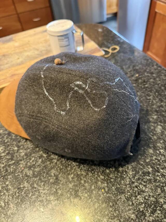 i-discovered-a-snail-taking-a-ride-on-my-hat-v0-dudawgvbl3ng1