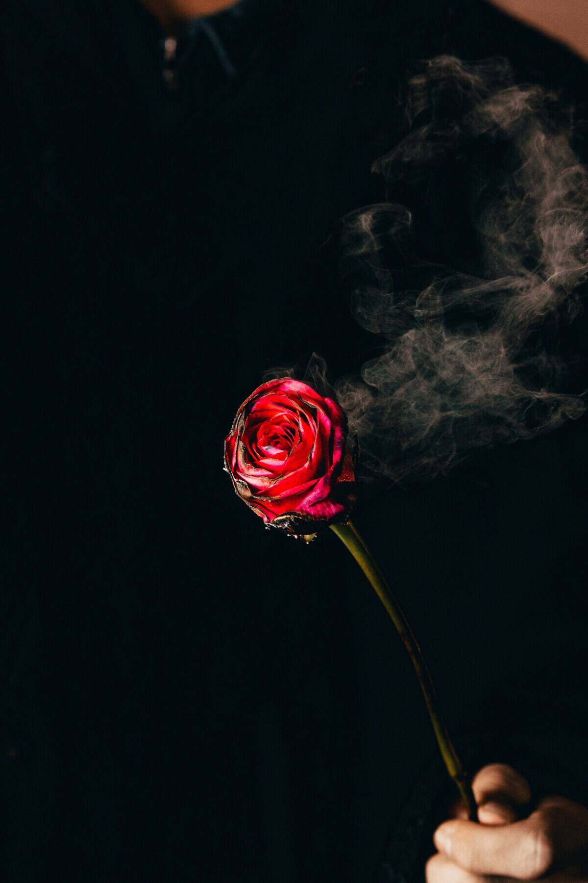 jakob-rosen-VMXPwlsgrms-unsplash