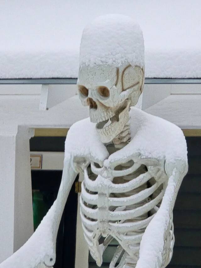 our-big-skeleton-woke-up-with-a-high-top-this-morning-v0-qbivejjsczgg1