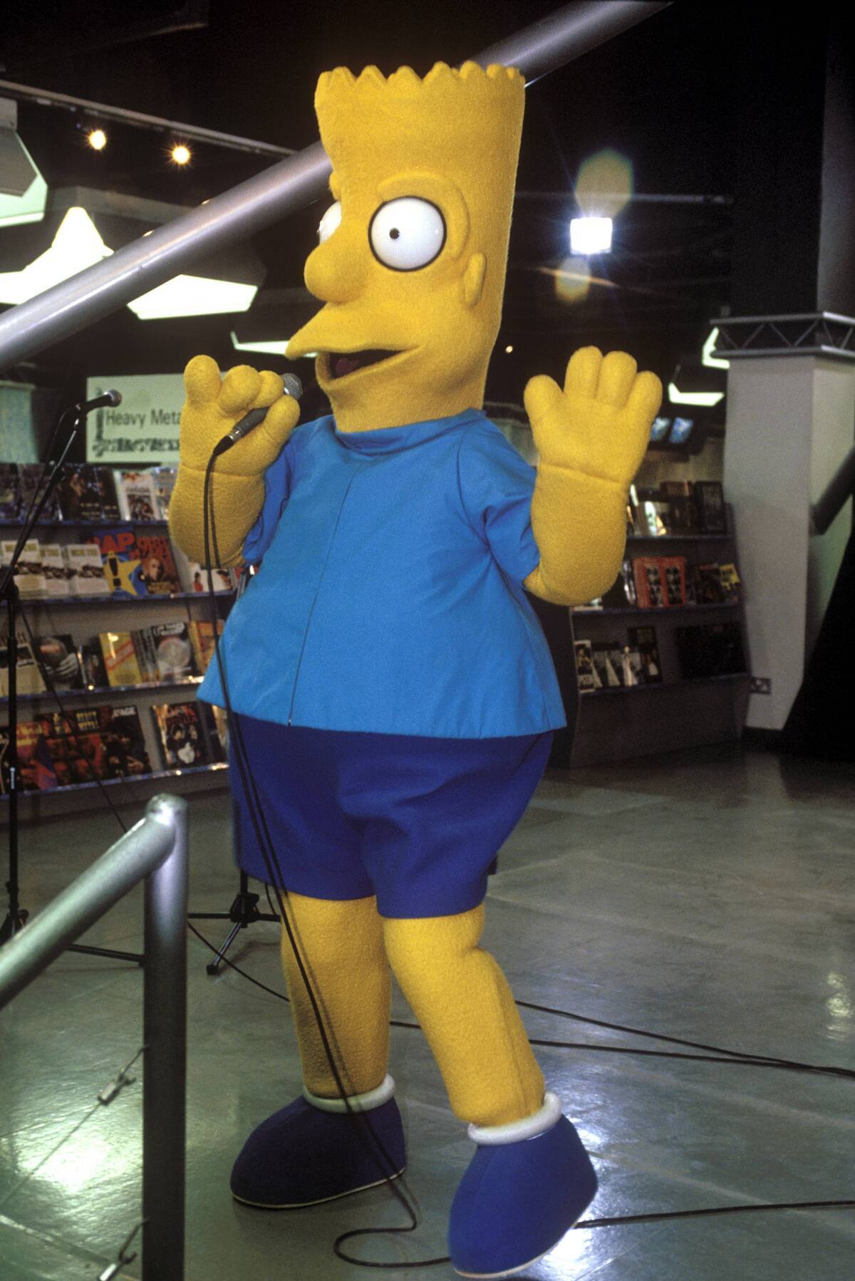 Photo of Bart SIMPSON