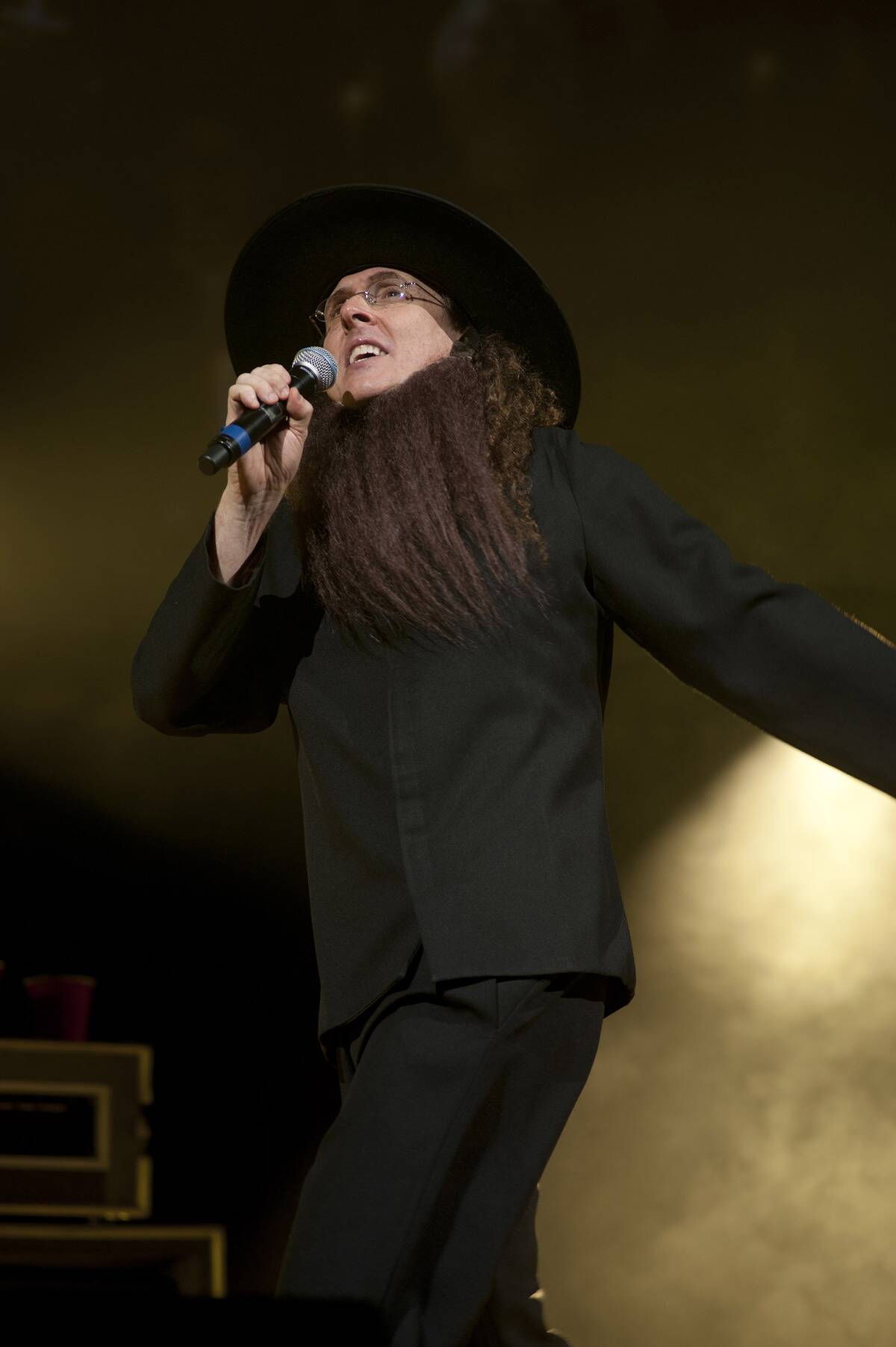 Weird Al Yankovic On Stage