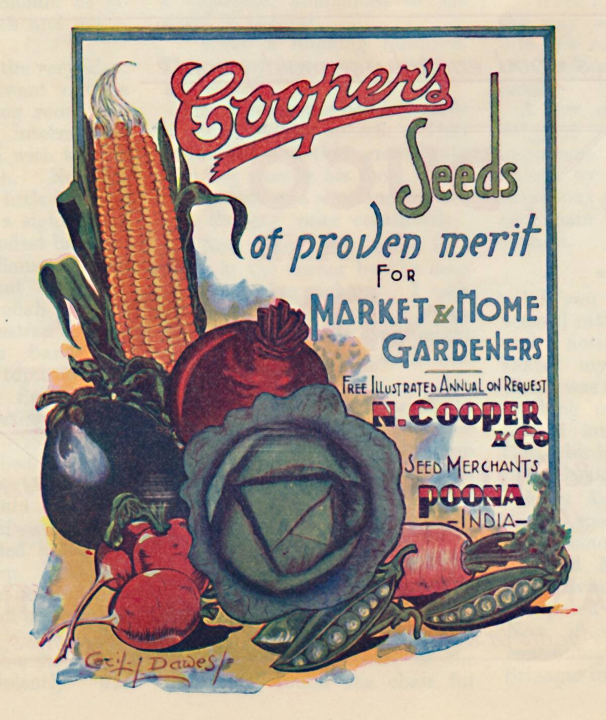 Advertisement For Coopers Seeds