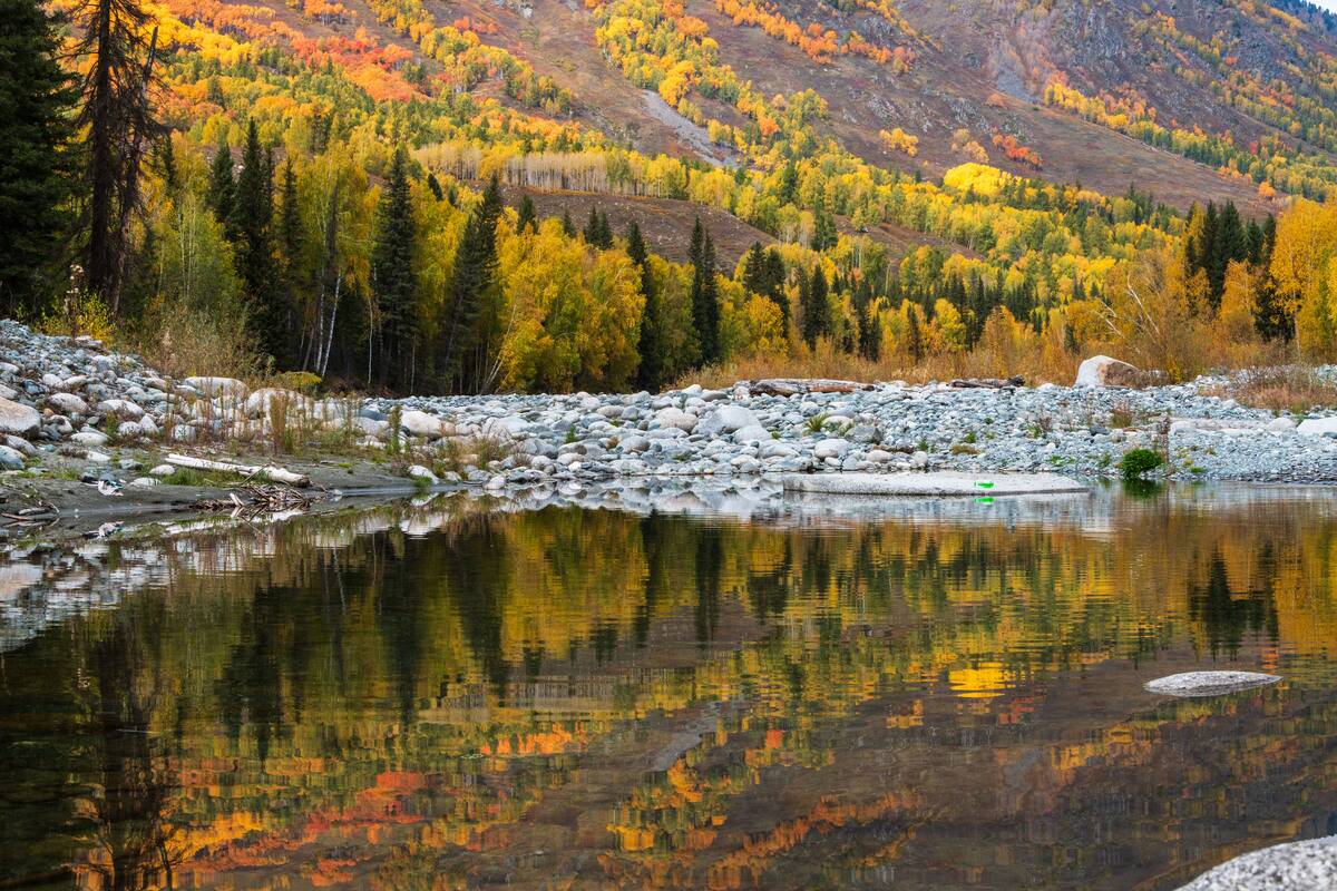 Autumn Scenery Of Hemu Village In Altay