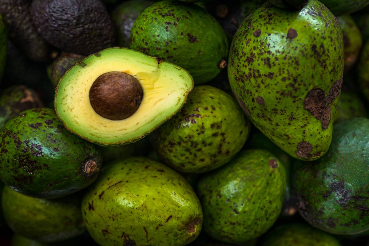 Avocado Market in Colombia