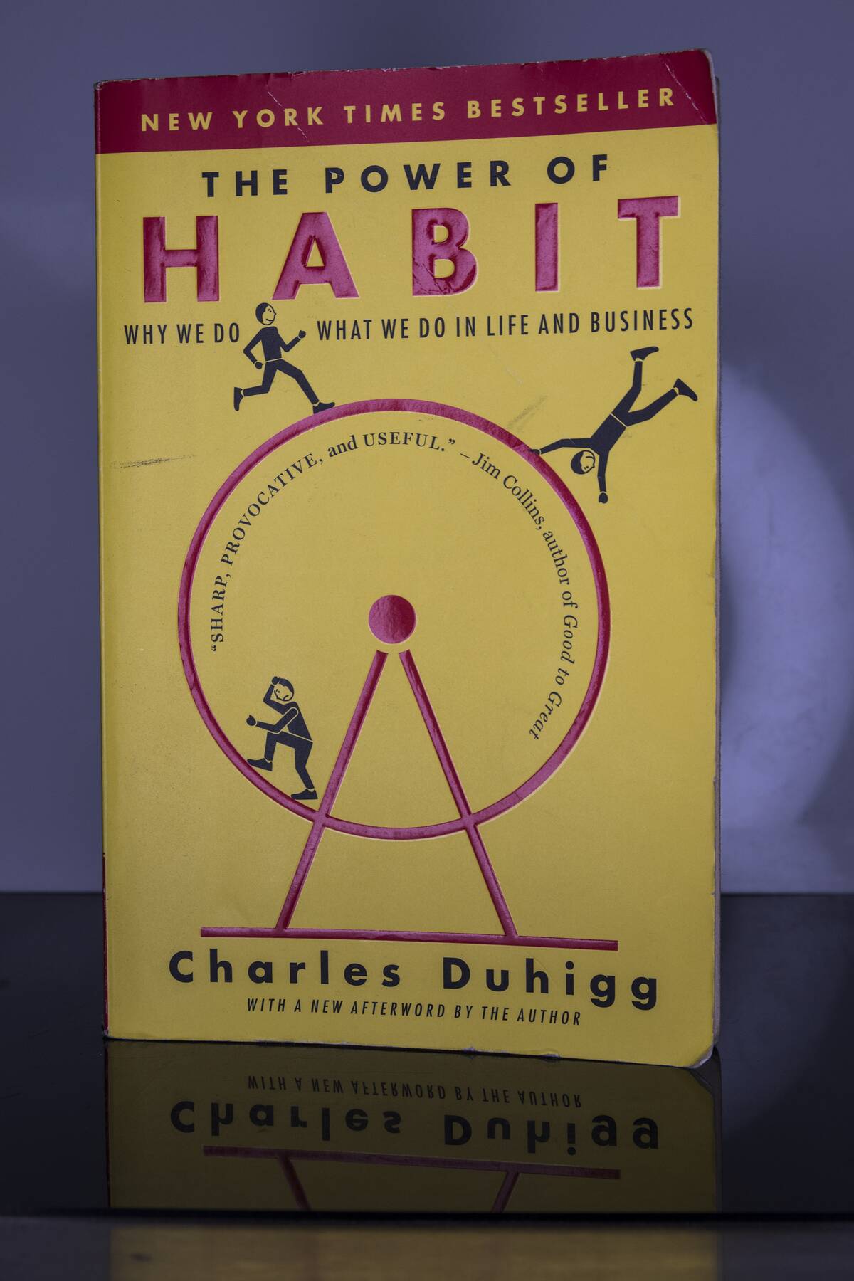 Book: The Power of Habit by author Charles Duhigg Archive