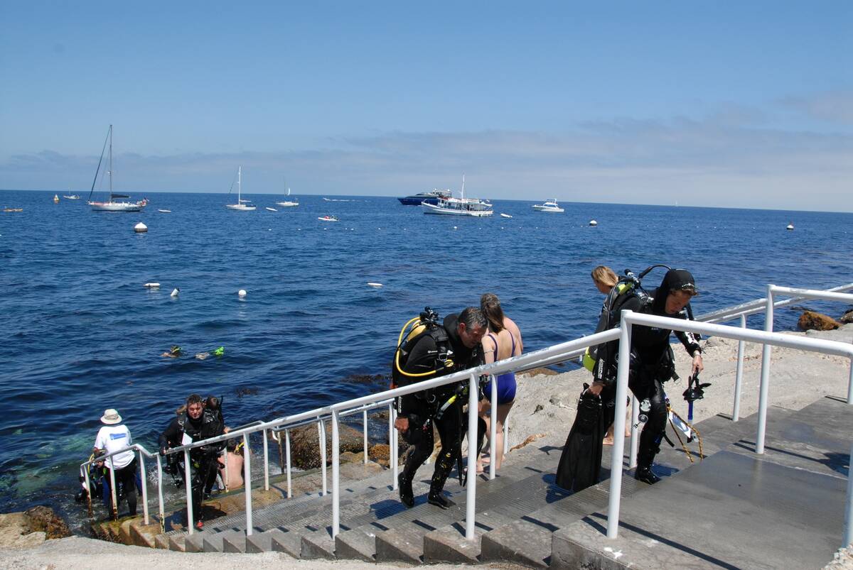 Catalina Island California