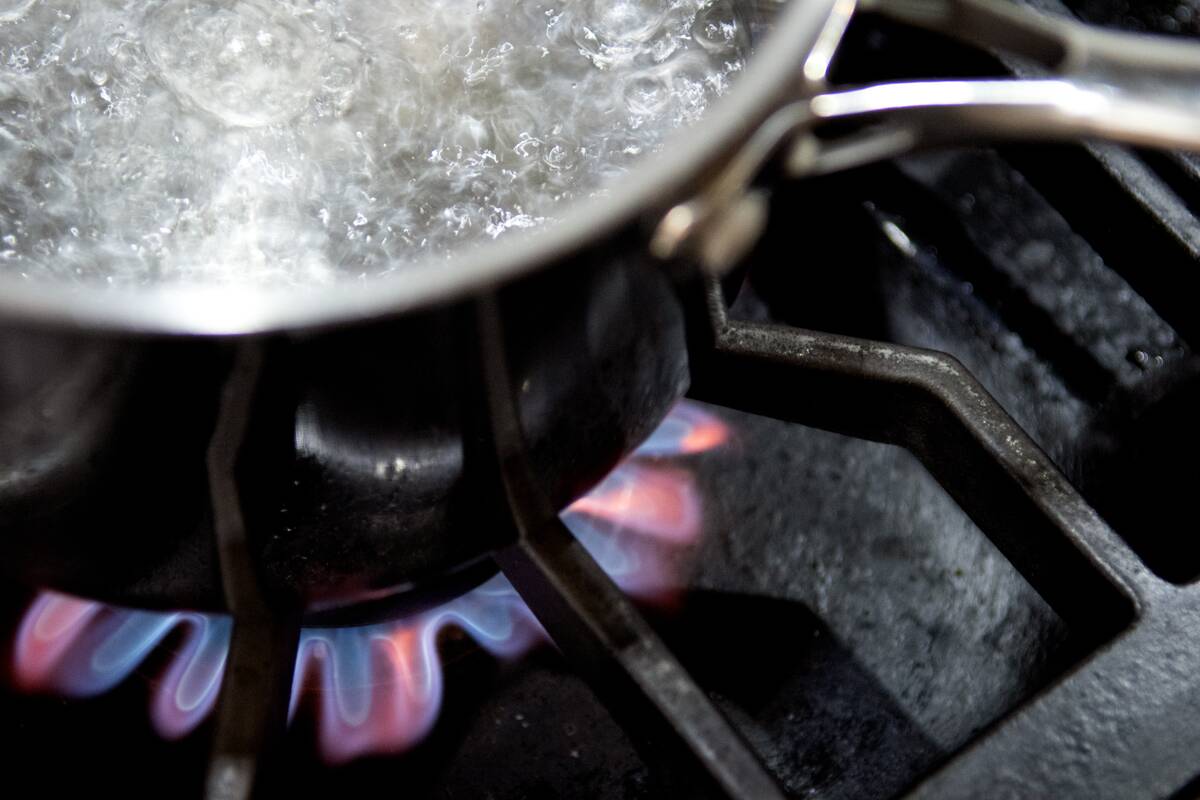 Consumer Product Safety Commissioner Sparks Debate On Gas Ranges After Comments Regarding Regulation On Future Products