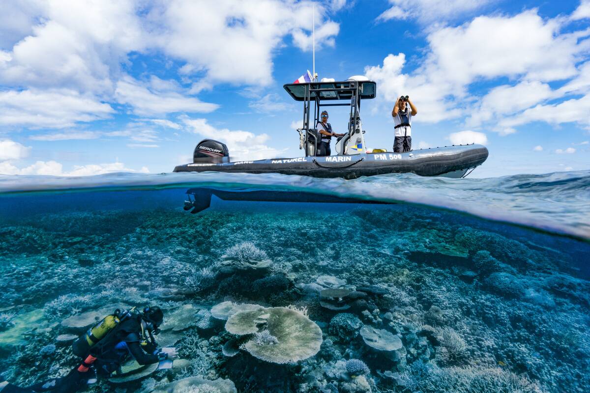 Coral reef monitoring mission in Mayotte.