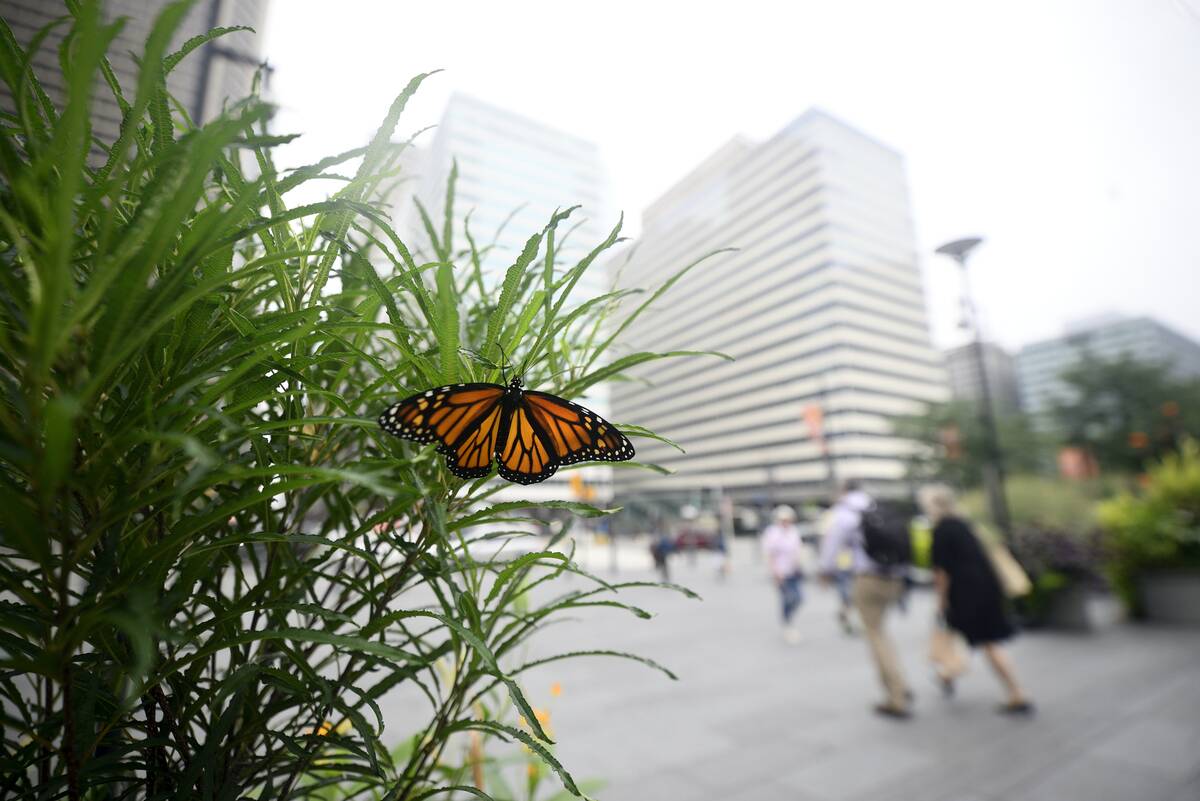 Daily Life in Philadelphia, Pennsylvania