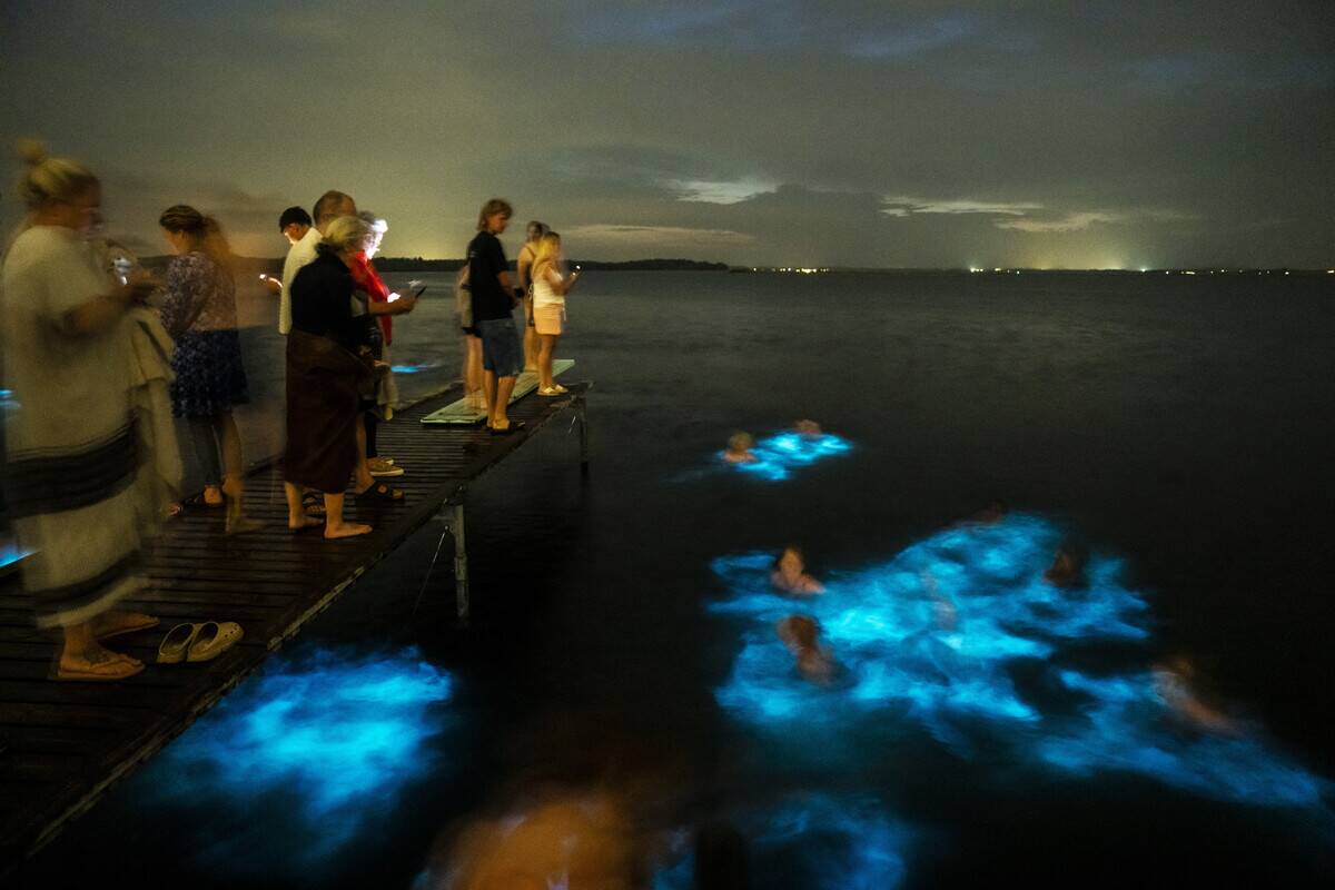 DENMARK-WEATHER-BIOLUMINESCENCE-ALGAE