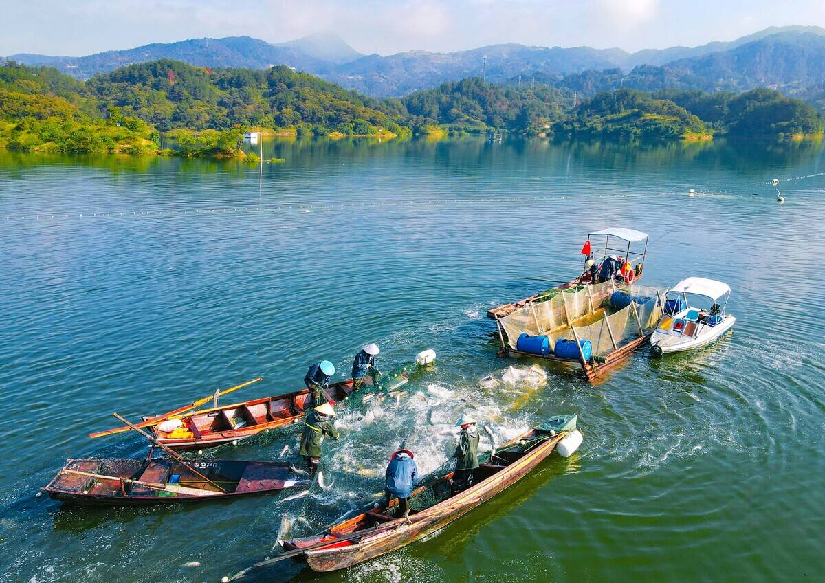 Ecological Fish Supply