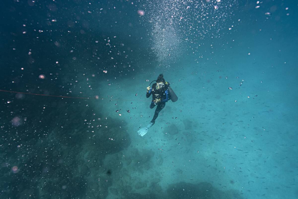 ECUADOR-ENVIRONMENT-GALAPAGOS-FISHING-OCEANS
