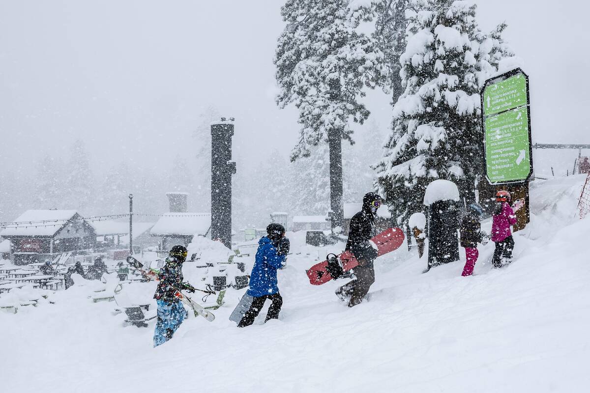 Heavy snow in big bear