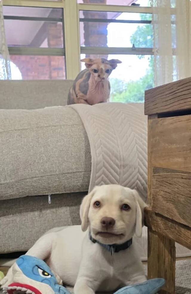 hes-right-behind-me-isnt-he-v0-uf2vvuz2ipdg1