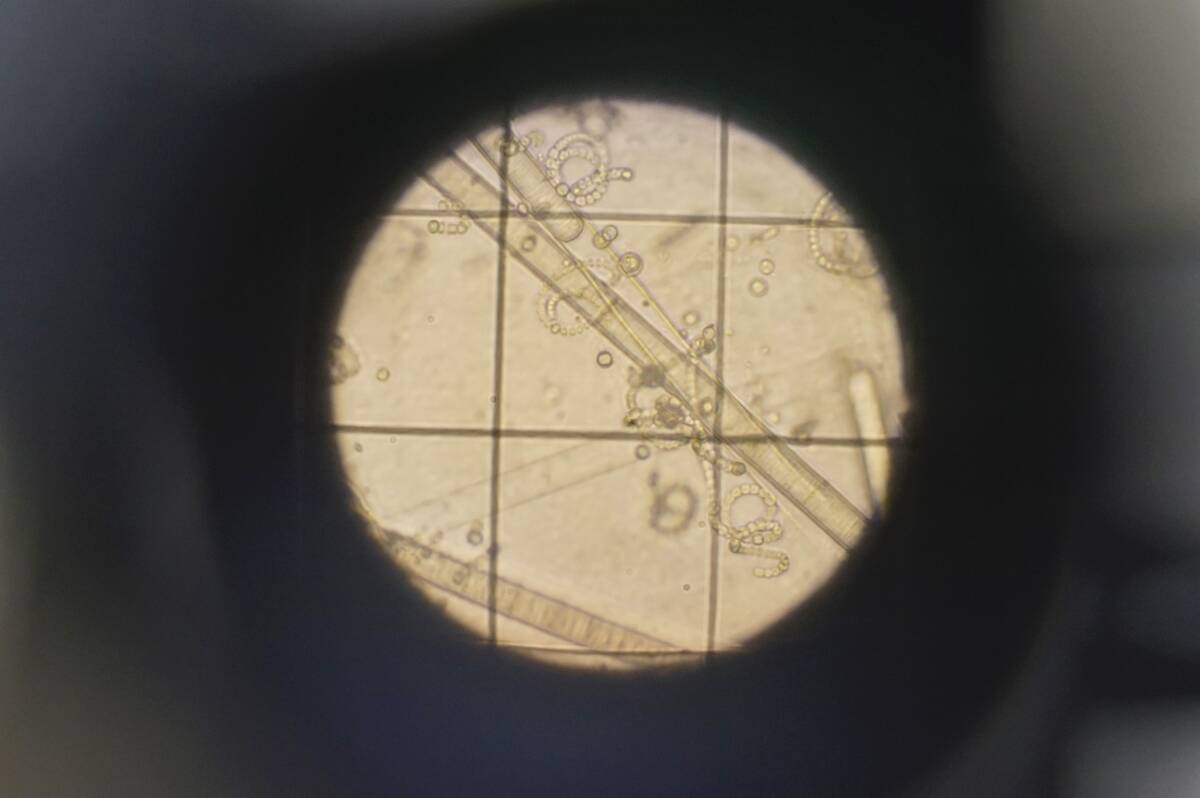 International Day of Women and Girls in Science