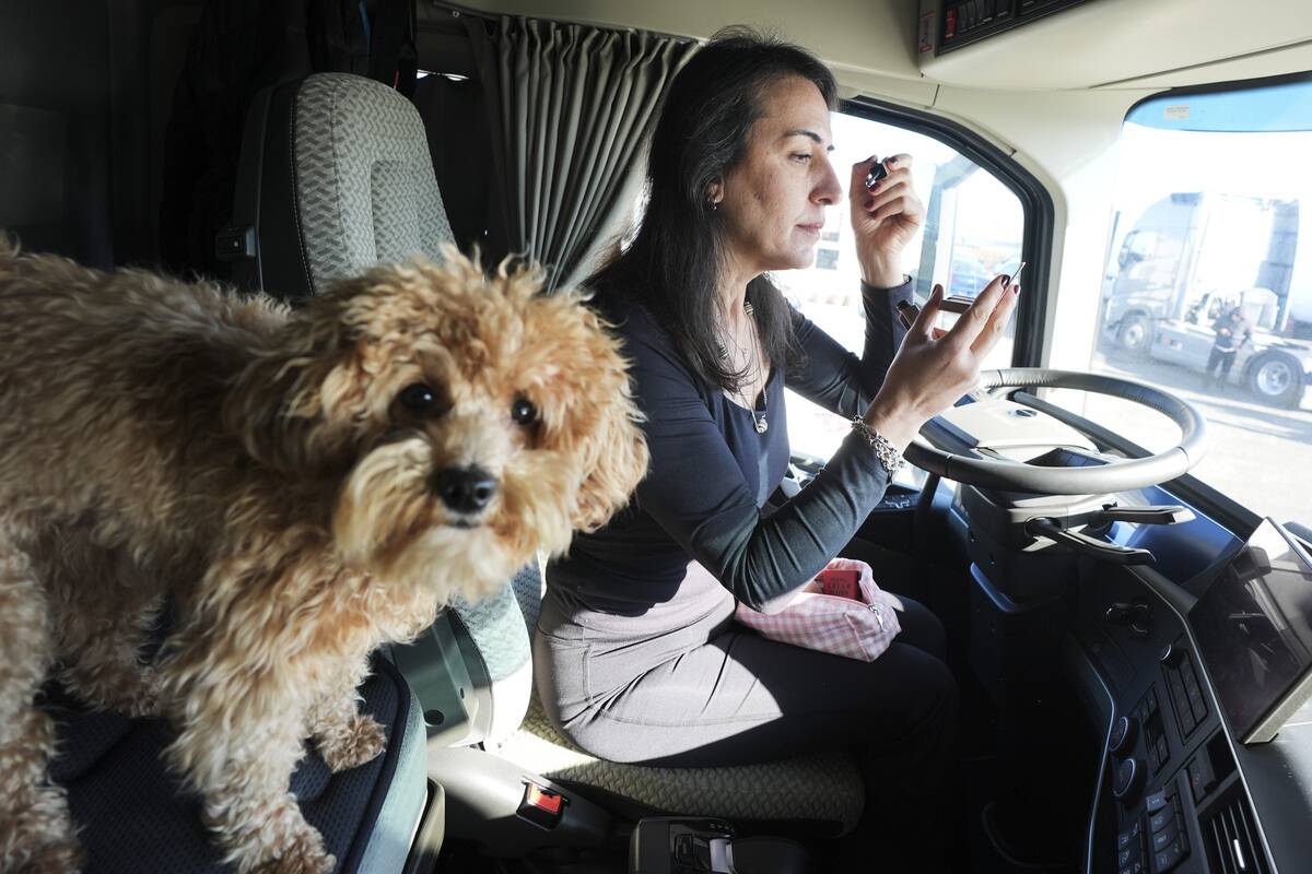 International truck driver Vildan Ozdemir on European roads with her husband and dog