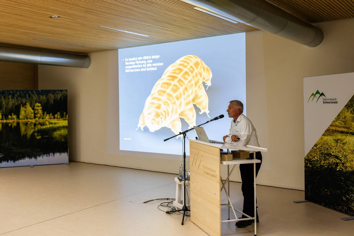 Introduction of a new tardigrade species